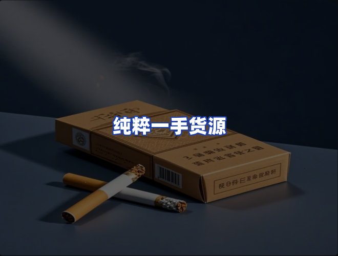 专业团队